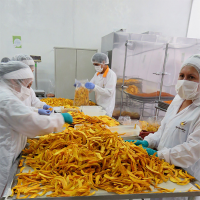 Selection of Dried Mango