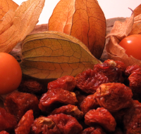 Dried Organic Goldenberry (Physalis Peruviana)