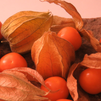 Fresh Goldenberry (Physalis peruviana)