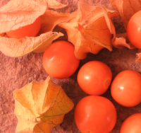 Fresh Organic Goldenberry (Physalis peruviana)