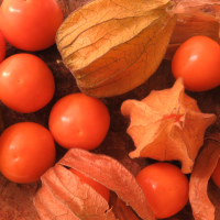 Fresh Conventional Goldenberry (Physalis peruviana)