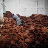 Alpaca fiber classification