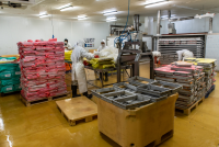 PRODUMAR PIURA Plant
