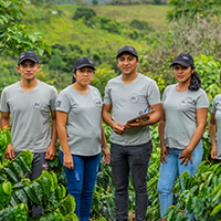 Company Staff