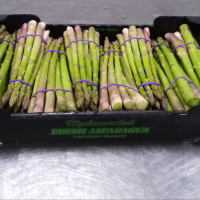 Fresh Green Asparagus 3.3kg Boxes
