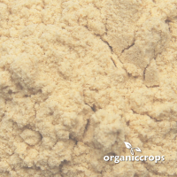 Organic Yacón Powder 