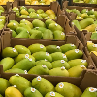 Mango Ataulfo 