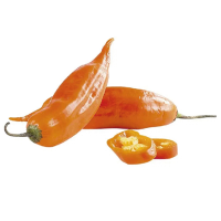Yellow Pepper