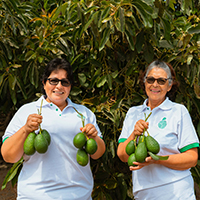 Inka Selecet Fruit Team