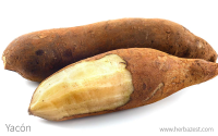 yacon root