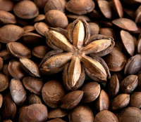 Sacha Inchi Snack