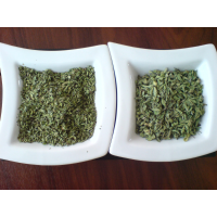 Highly natural oregano with exportation quality 