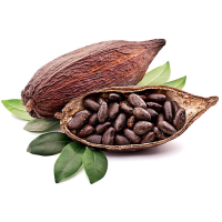 Cocoa Powder