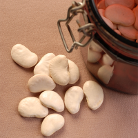 Jumbo / Large Lima Beans - 25 Kg - 50 Kg poly bags