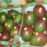 Fresh Conventional Mango