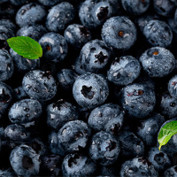 Fresh blueberry