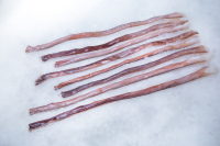 Squid sexual tentacles