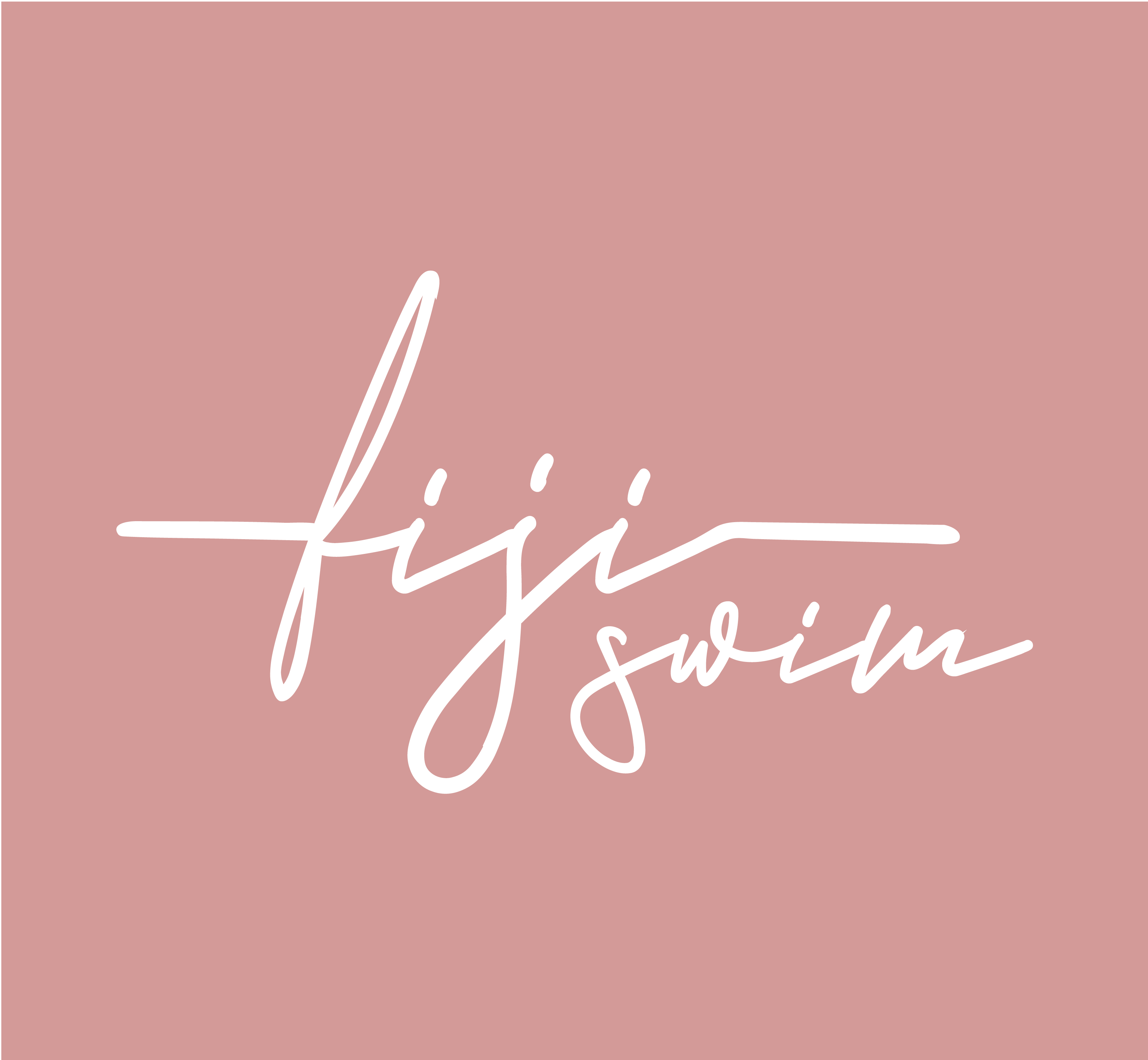 FIJI STORE SOCIEDAD ANONIMA CERRADA - FIJI STORE S.A.C.