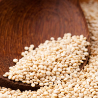 White Quinoa Sacks of 25kg