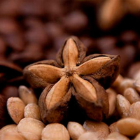Sacha Inchi in Bags of 250g, 500g and 1k