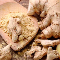 Ginger Powder Sacks of 25kg