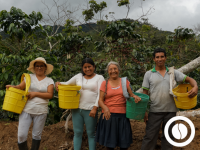 Specialty Green Coffee - San Ignacio 