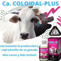 Ca. Coloidal - Plus is an excellent Vitamin Replenisher that helps to increase the production and reproduction of your cattle.