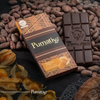 Bitter Chocolate 70% Cocoa with Aguaymanto 50gr.