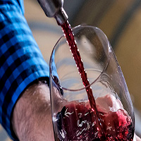Intipalka wine