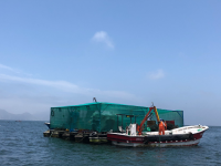 Aquacultivos del Pacifico Boat