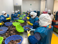 Logistics Aquacultivos del Pacifico
