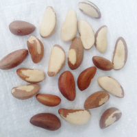 Brazil nut