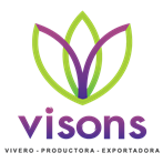VISON´S S.A.C.