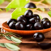 Black Olives in Brine 