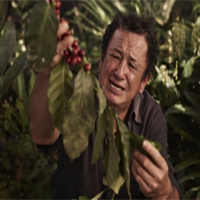 Coffee producer