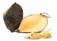 Yacon in Root 10kg