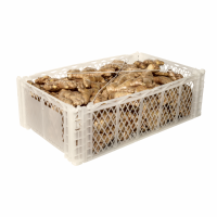 Fresh Organic Ginger
