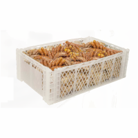 Organic Fresh Turmeric
