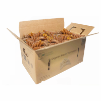 Organic Fresh Turmeric