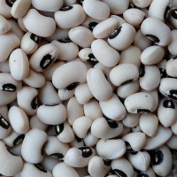 Black Eye Beans