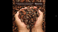 Chuncho Cocoa Beans Origin Cusco