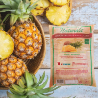 Pineapple Concentrate