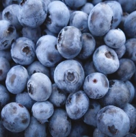 IQF Blueberries 1kg to 15kg