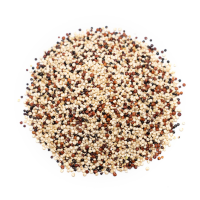 Quinoa Tricolor