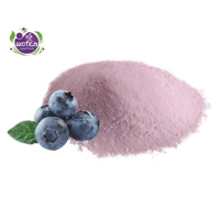 Blueberries Spray dried from 5 to 10 kg