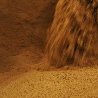 Whole Cane Sugar