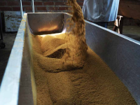 Whole Cane Sugar