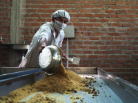 Whole Cane Sugar