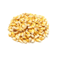 Chulpe Corn