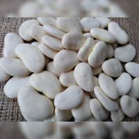 Lima Beans